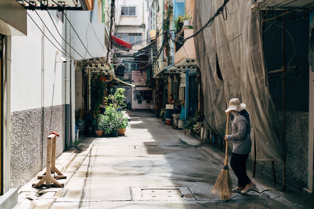 woman, broom, nature